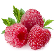Ecofertil Maroc 5 FRUITS ROUGES